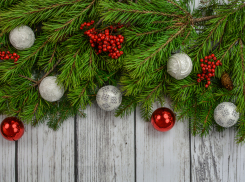 Новый год в Краснодаре: как и в чем встретить, чтобы задобрить Тигра