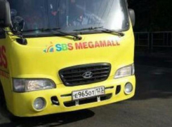 «Его тоже можно понять, но кто поймёт нас?»- краснодарцев возмутили действия водителя маршрутки