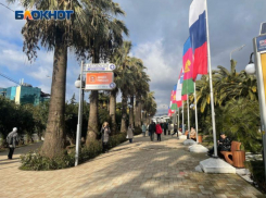 В районе 31 тысячи: сколько нужно денег на отдых в Краснодарском крае на 8 марта 