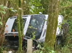 «Грибы собирал»: водитель BMW X5 «вылетел» с трассы в лес