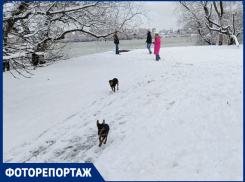 В Краснодаре показали засыпанные снегом улицы