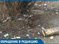  В Краснодаре убрали только половину самой грязной зеленой зоны в городе 