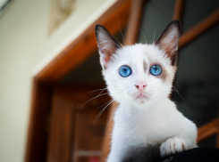 В Краснодаре 12 сентября синоптики прогнозируют дождь