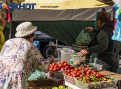 От свежего сыра до зелени: семь ярмарок выходного дня открылись в Краснодаре 