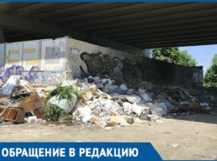 Крысы и вонь появились под Северным мостом Краснодара из-за гор мусора