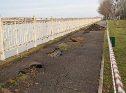 В Краснодаре проваливается набережная, а жители переживают за енота и лес 