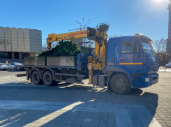 Главную новогоднюю елку начали устанавливать в Краснодаре