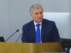 Вячеслав Володин потребовал решить проблему точечной застройки Краснодара