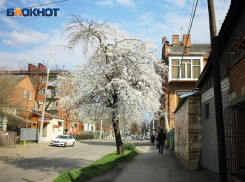 Расширяемся: в Краснодаре появится новый внутригородской округ