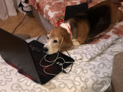 Актуальный Краснодар сегодня: без осадков, до 25 тепла. Поздравляем принцесс и всех знакомых Варфоломеев. Тайный визит в город Бастрыкина