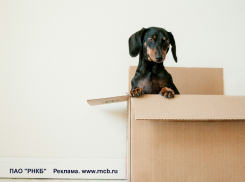 В феврале РНКБ выдал более 40% ипотечных кредитов по льготной госпрограмме «Семейная ипотека»