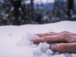 Жители Краснодара нашли у шоссе гнилой труп мужчины