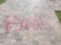 «В семье не без урода»: помощник мэра Краснодара припозорил вандалов