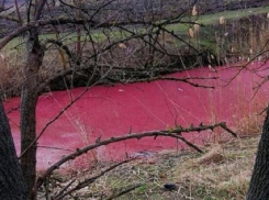 «Кровавый» канал под Краснодаром экологи сочли незагрязненным