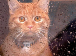 Сильные дожди продолжатся на Кубани 