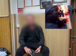Избил палкой и застрелил: житель Кубани жестоко убил собаку бывшей возлюбленной 