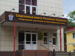 На родителей, издевающихся над младенцем в Сочи, возбудили уголовное дело