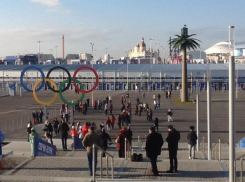 «Нас не завалить»: альтернативный Олимпийским играм турнир проведут в Сочи 