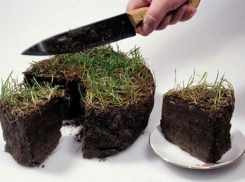 Гордума Краснодара создаст комиссию для распределения земельных участков