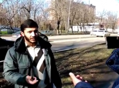  В Краснодаре компенсируют вырубку деревьев на Ростовском шоссе