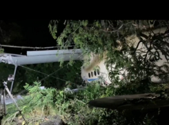 В Краснодарском крае при крушении Ан-2 погибли два человека