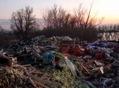 Полиция разыскивает виновников свалки на берегу Кубань в Краснодаре