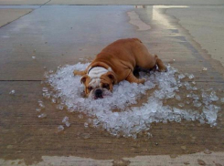 Как уберечь себя от жары