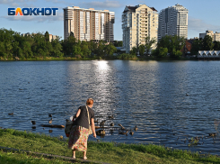 Воздух в Краснодаре прогреется до +29 градусов