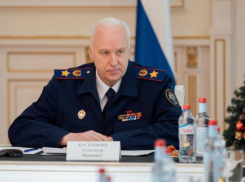 Бастрыкина заинтересовал отлов бездомных собак в Краснодаре
