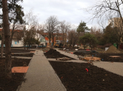 В Краснодаре на улице Герцена сделают сквер 