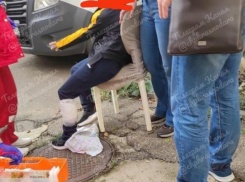 Нападение бездомных собак на школьника в Краснодаре привлекло внимание Бастрыкина