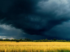 Циклон на Кубани может привести к оползням в 16 районах 