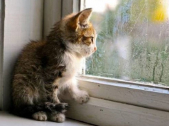 Последний «осенний» день ждет жителей и гостей города сегодня