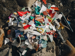 Greenpeace заявил о загрязнении побережья Черного и Азовского морей