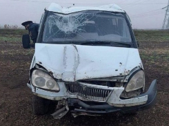 На Кубани бесправный водитель ГАЗели с пассажирами из-за тумана протаранил фонарный столб