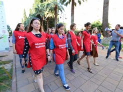 На курортах края борются за чистый вохдух