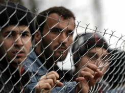 На кубанских огородах обнаружили полсотни нелегальных мигрантов