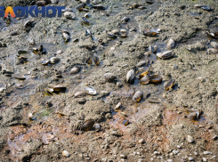 Власти ограничили потребление воды для спасения Краснодарского водохранилища 