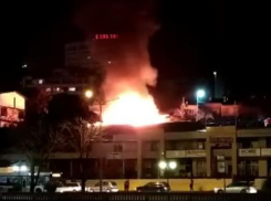 Названо место очага и предварительная причина крупного пожара в Сочи