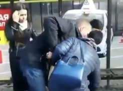 Борьба краснодарцев за бездомного пса попала на видео