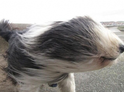 В Анапе ожидается резкое ухудшение погоды