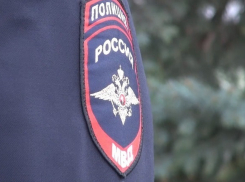 Полиция прокомментировала инцидент с найденными трупами собак в ущелье Краснодарского края