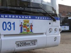 До нового музея Краснодара продлили автобусный маршрут