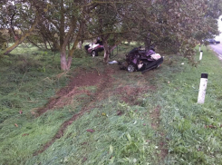 Водитель и пассажирка разорванной на части машины выжили в ДТП на Кубани