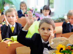 Кубанские дети с 1 сентября будут учиться по новым правилам 