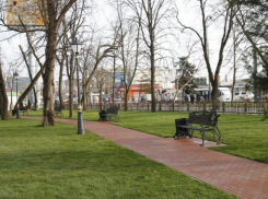  Зеленые зоны для благоустройства в Краснодаре будут выбирать вместе с президентом 