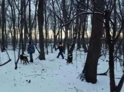 Поиски 10-летнего мальчика в Белореченском районе пока не дали результатов