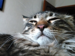  На День города в Краснодаре будет отличная погода 