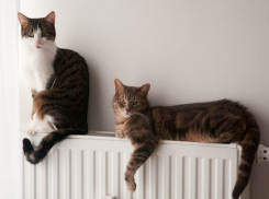  Больше 100 домов остаются без тепла в Краснодаре 