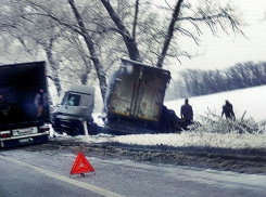 Фура впечаталась в дерево под Армавиром